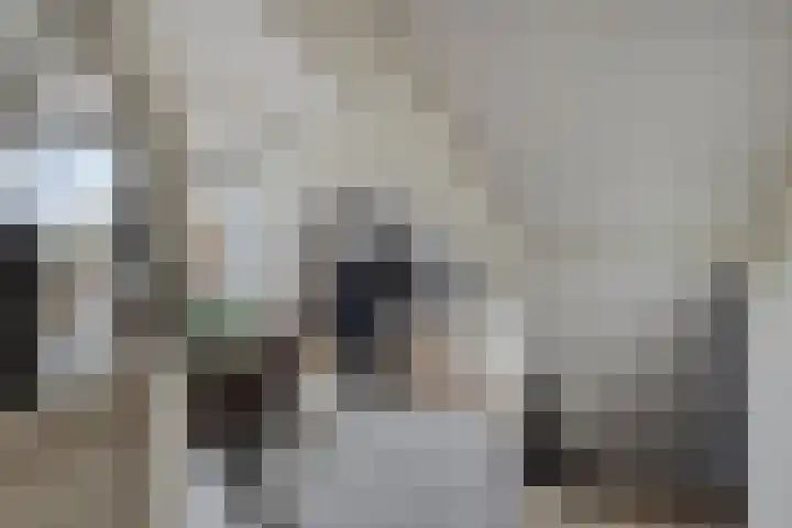 Leliestraat 31 Goes thumbnail 47