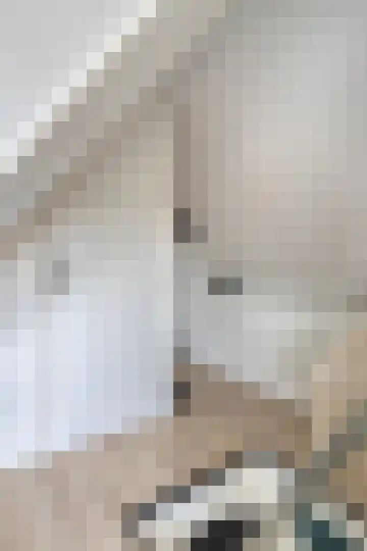 Leliestraat 31 Goes thumbnail 50