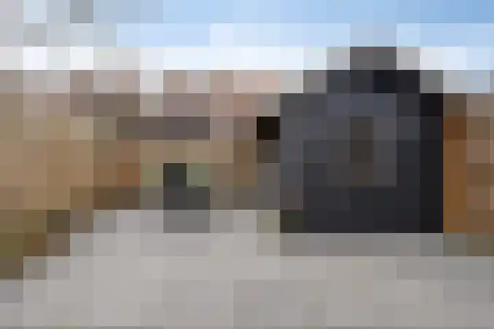 Leliestraat 31 Goes thumbnail 53