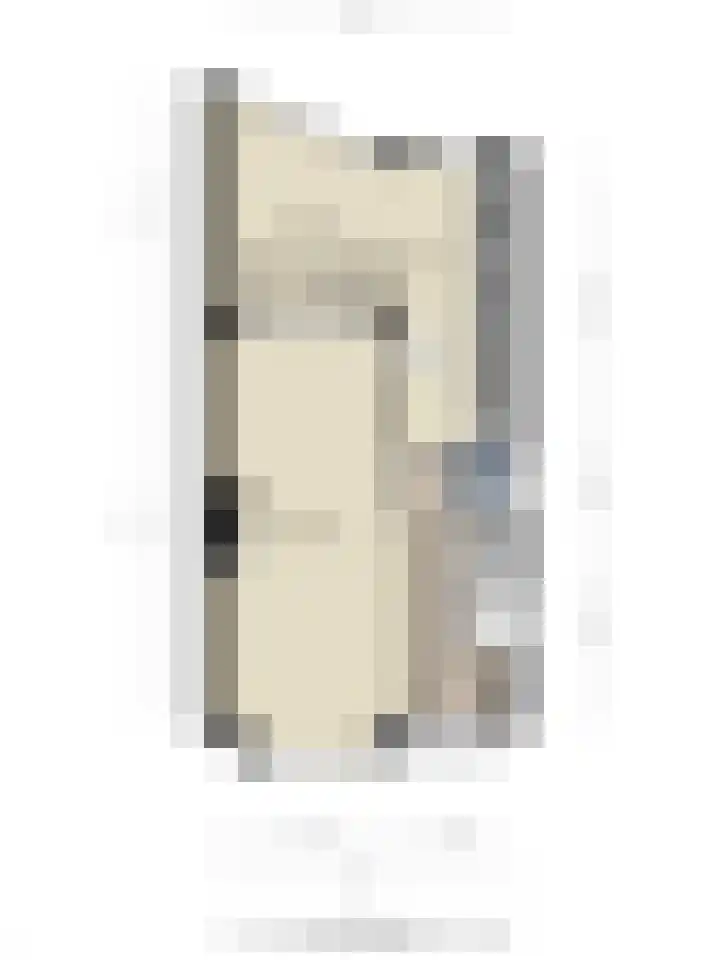 Leliestraat 31 Goes thumbnail 58