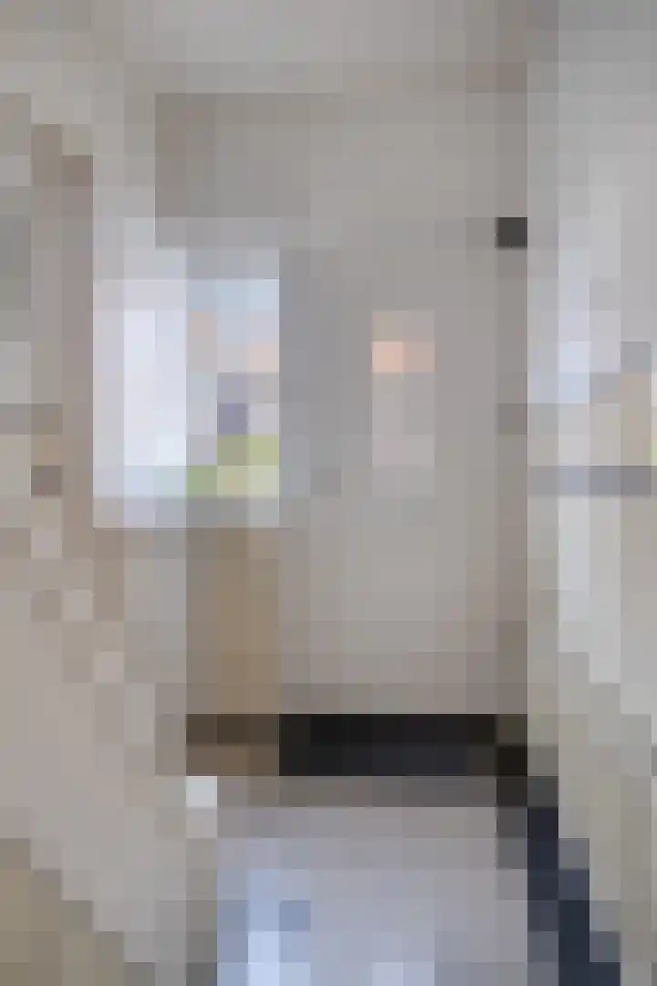 Leliestraat 31 Goes thumbnail 6