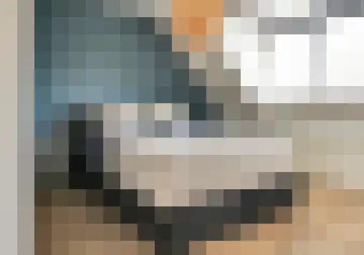 Leliestraat 35 Goes thumbnail 19
