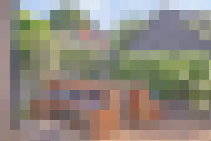 Leliestraat 35 Goes thumbnail 26