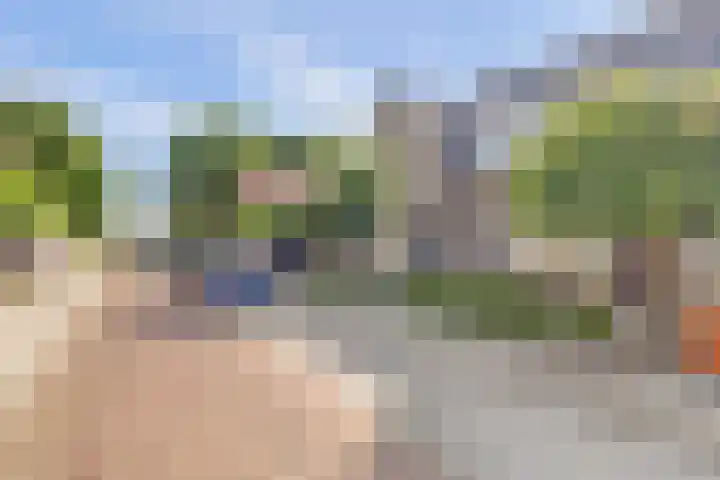 Leliestraat 35 Goes thumbnail 35