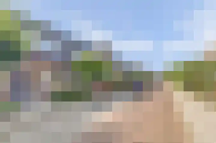 Leliestraat 35 Goes thumbnail 37