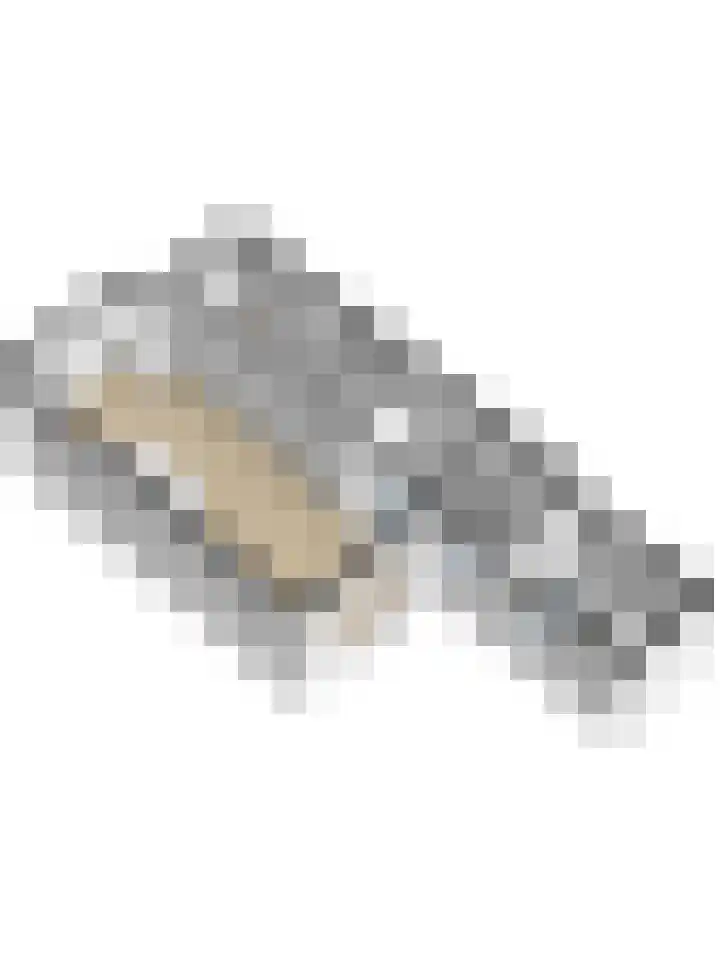 Leliestraat 35 Goes thumbnail 43
