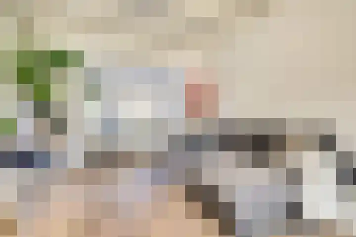 Leliestraat 35 Goes thumbnail 7