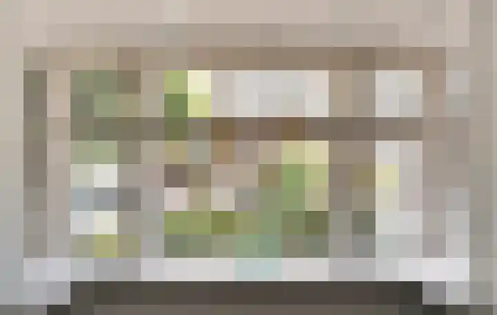 Leliestraat 35 Goes thumbnail 8