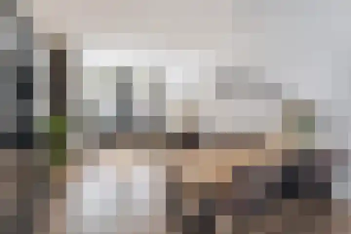 Leliestraat 5 Sneek thumbnail 18