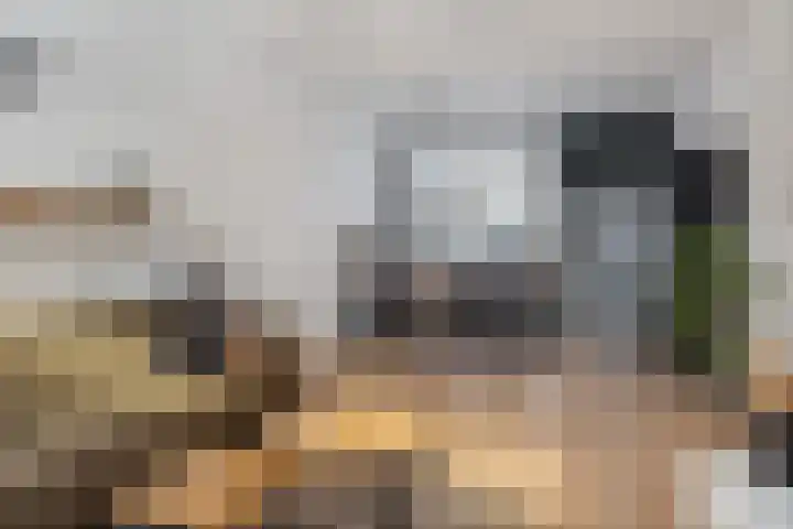 Leliestraat 5 Sneek thumbnail 23
