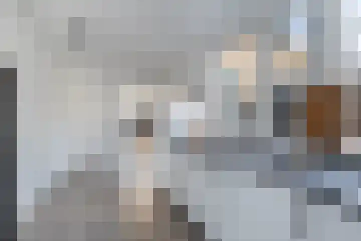 Leliestraat 5 Sneek foto 3