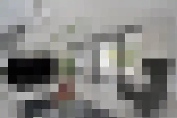 Leliestraat 5 Sneek thumbnail 36