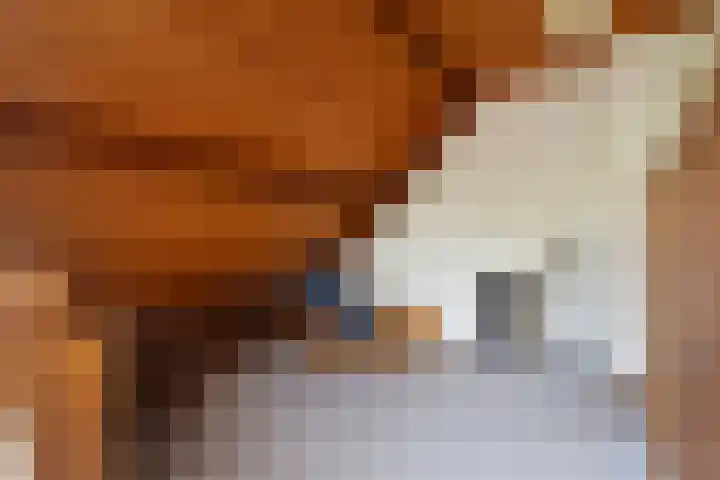 Leliestraat 5 Sneek thumbnail 41