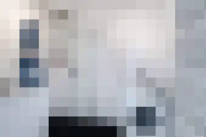 Leliestraat 5 Sneek thumbnail 43