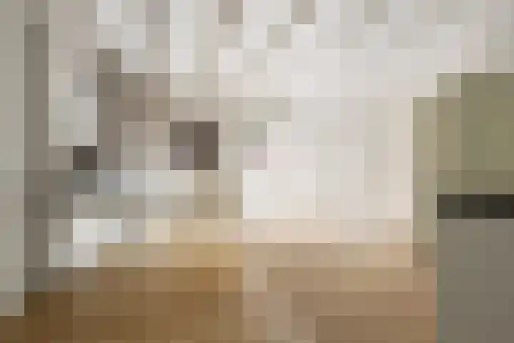 Leliestraat 5 Sneek thumbnail 44