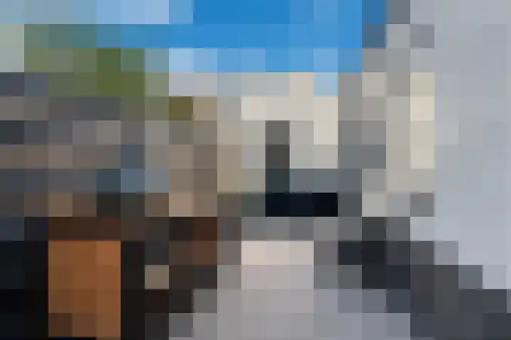 Leliestraat 5 Sneek thumbnail 47