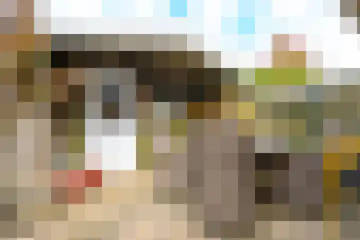 Leliestraat 5 Sneek thumbnail 48
