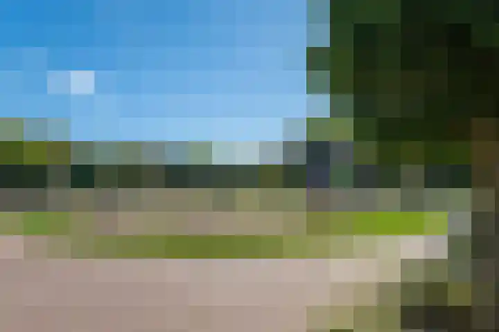Leliestraat 5 Sneek thumbnail 48