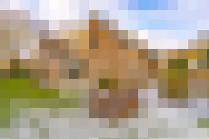Leliestraat 5 Sneek thumbnail 50