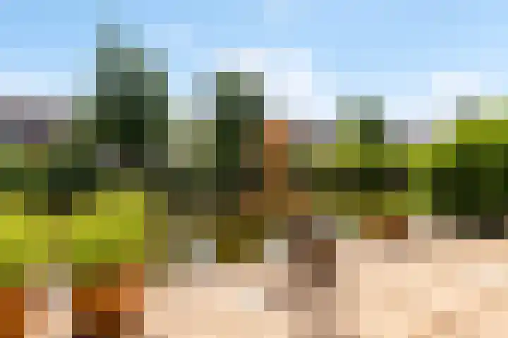 Leliestraat 5 Sneek thumbnail 7