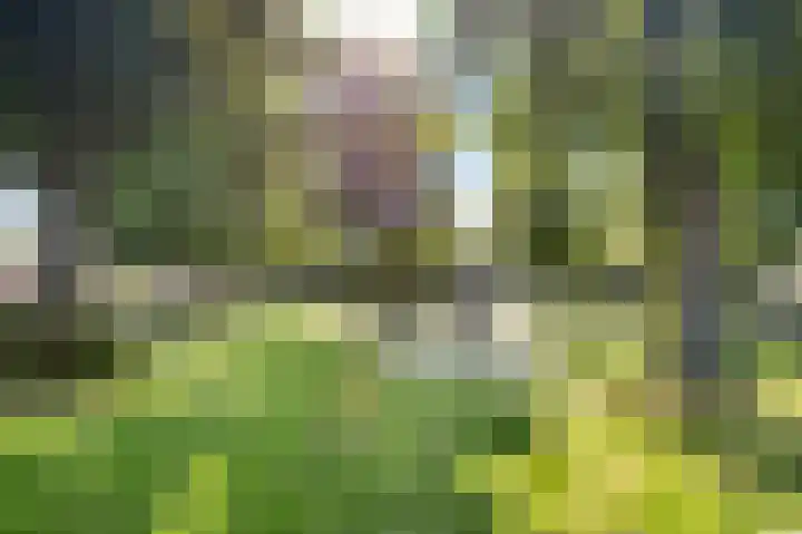 Leliestraat 54 Sittard thumbnail 35