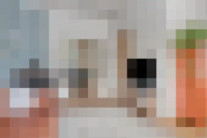 Leliestraat 55 Goes thumbnail 15