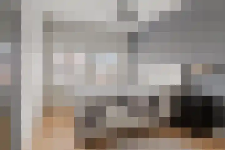 Leliestraat 55 Goes thumbnail 27