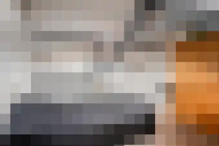 Leliestraat 55 Goes thumbnail 32