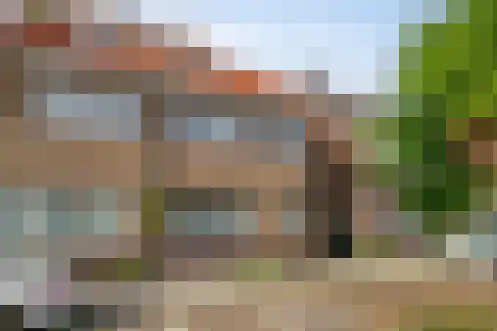 Leliestraat 55 Goes thumbnail 5