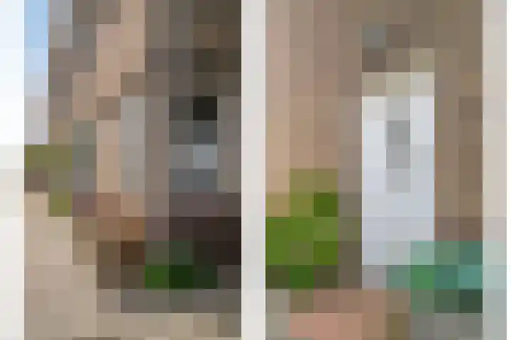 Leliestraat 55 Goes thumbnail 7