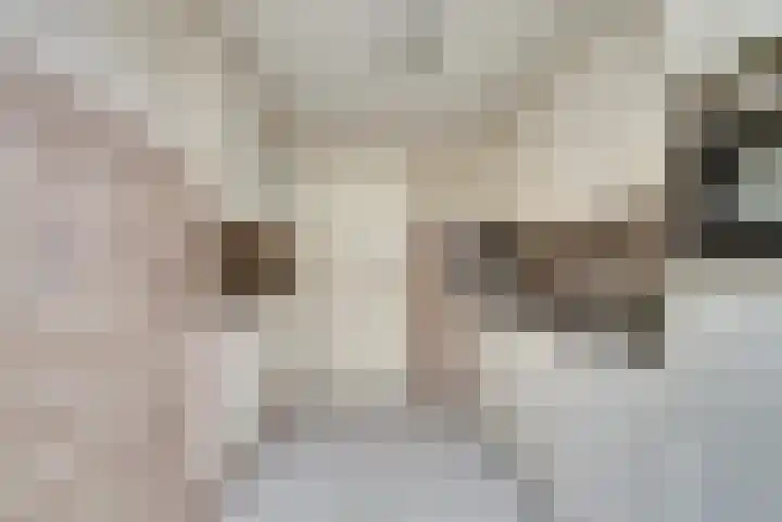 Leliestraat 77 Goes thumbnail 13