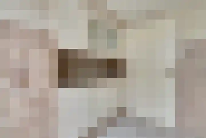 Leliestraat 77 Goes thumbnail 15