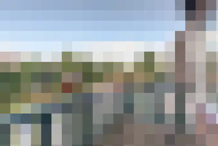 Leliestraat 77 Goes thumbnail 19
