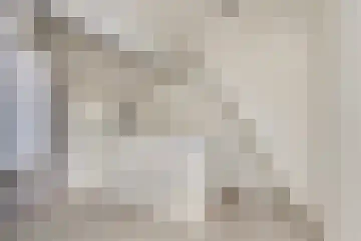 Leliestraat 77 Goes thumbnail 27