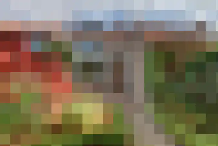 Leliestraat 77 Goes thumbnail 32