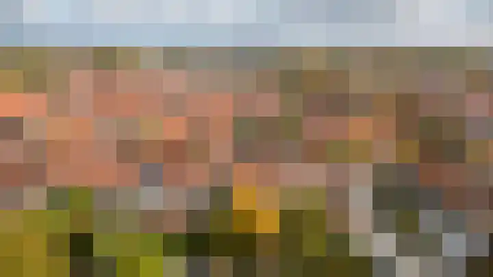 Leliestraat 77 Goes thumbnail 33