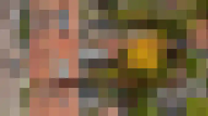 Leliestraat 77 Goes thumbnail 34