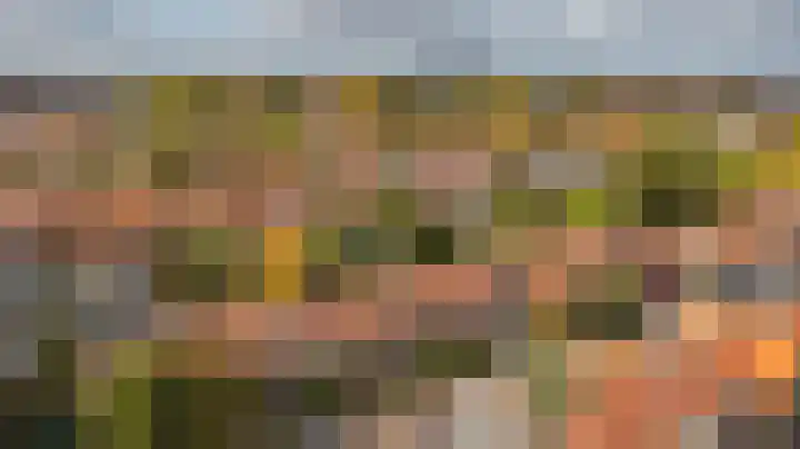 Leliestraat 77 Goes thumbnail 5
