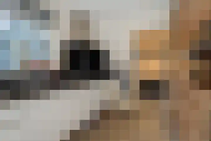 Leliestraat 8 Heesch thumbnail 10