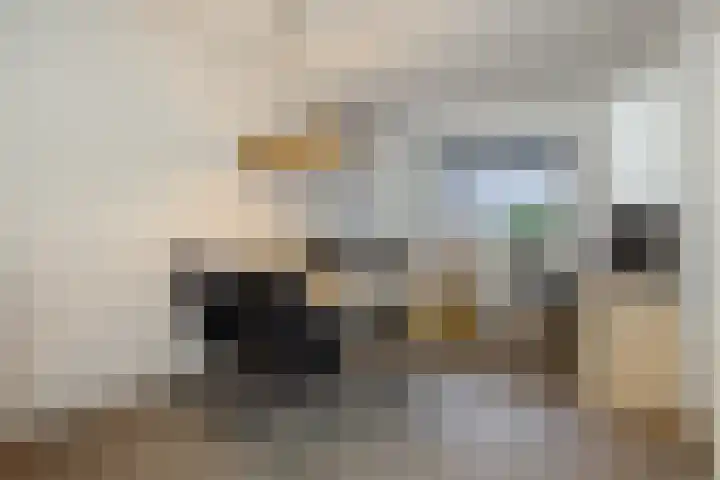 Leliestraat 8 Heesch thumbnail 13