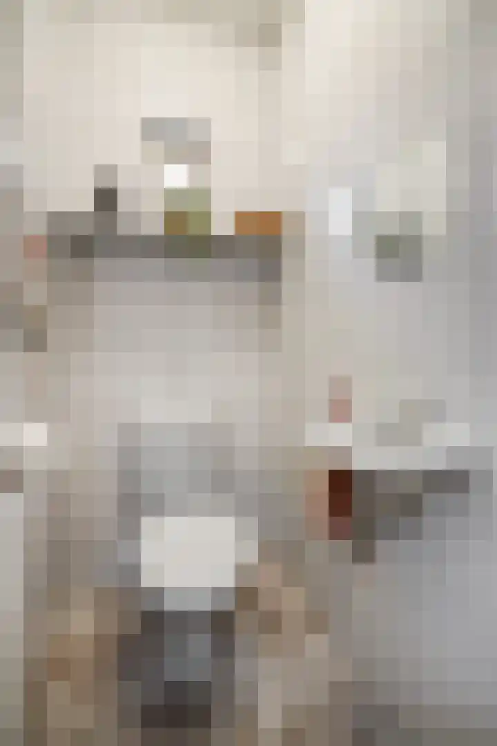 Leliestraat 8 Heesch thumbnail 19