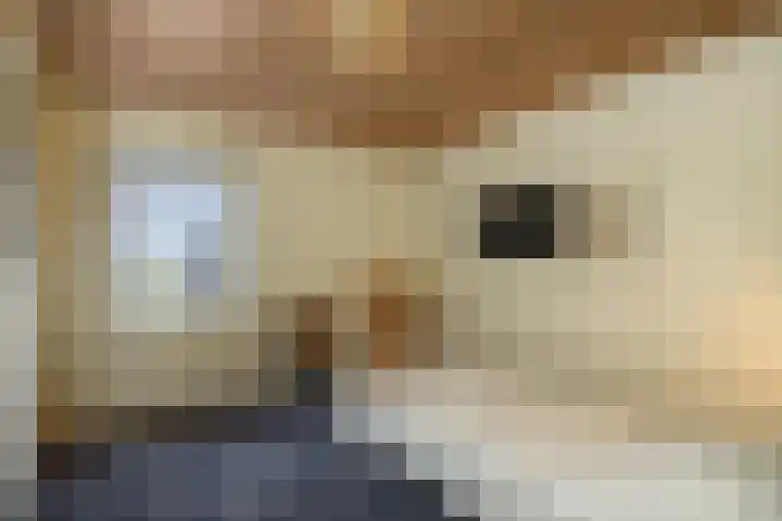 Leliestraat 8 Heesch thumbnail 28