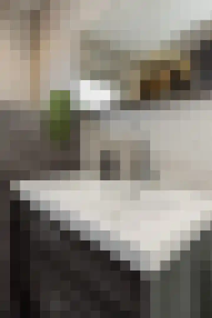 Leliestraat 8 Heesch thumbnail 31