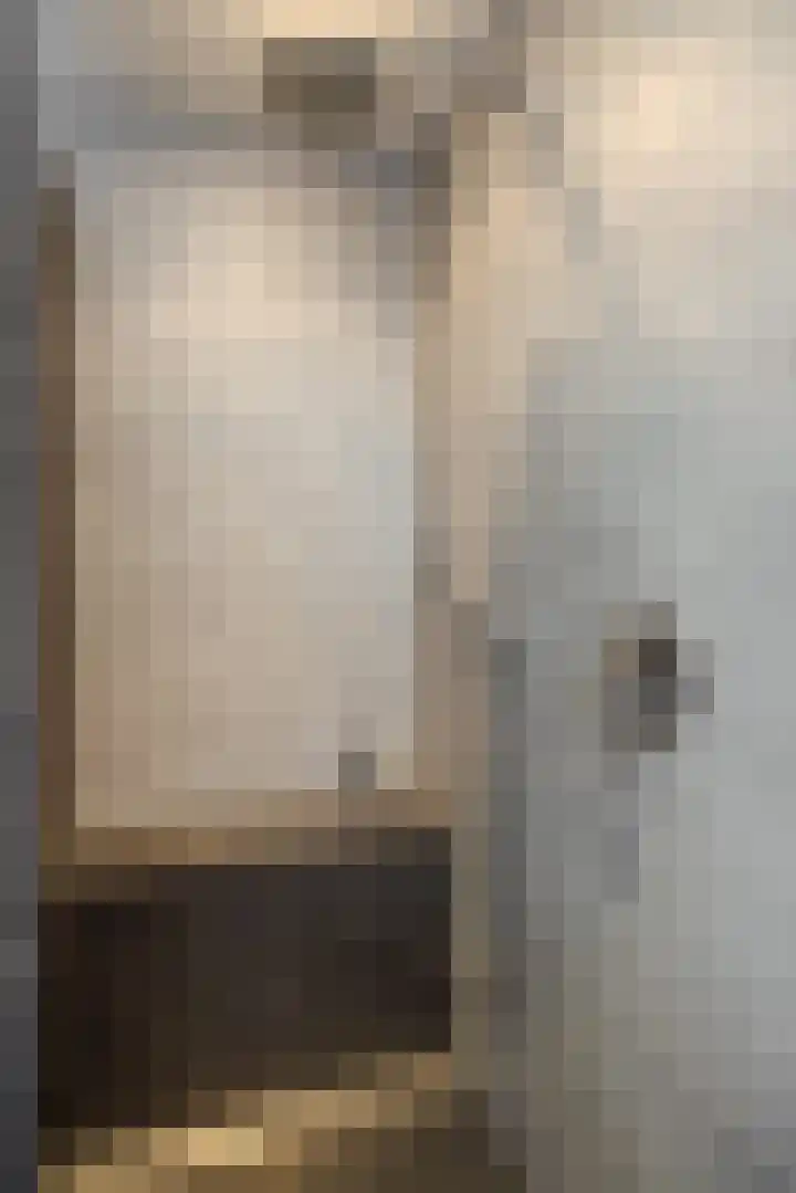 Leliestraat 8 Heesch thumbnail 33