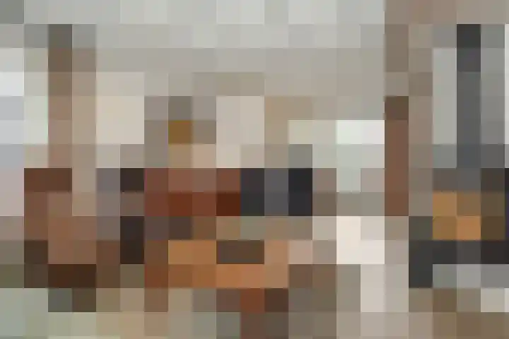 Leliestraat 8 Heesch thumbnail 5