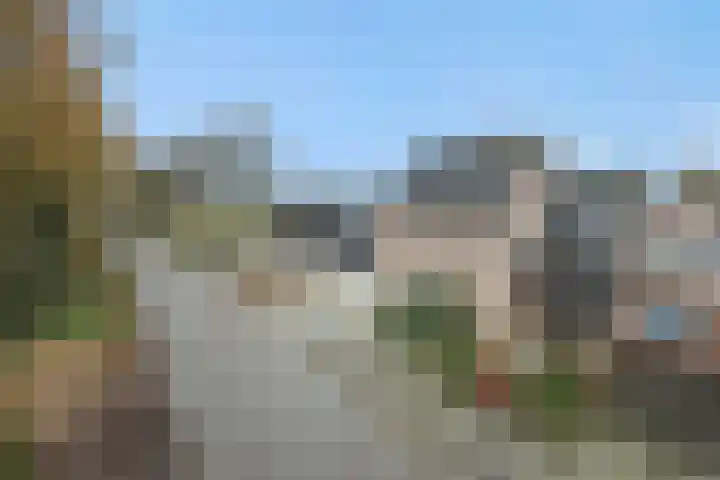 Leliestraat 8 Heesch thumbnail 54