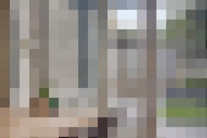 Leliestraat 9 Grubbenvorst thumbnail 11