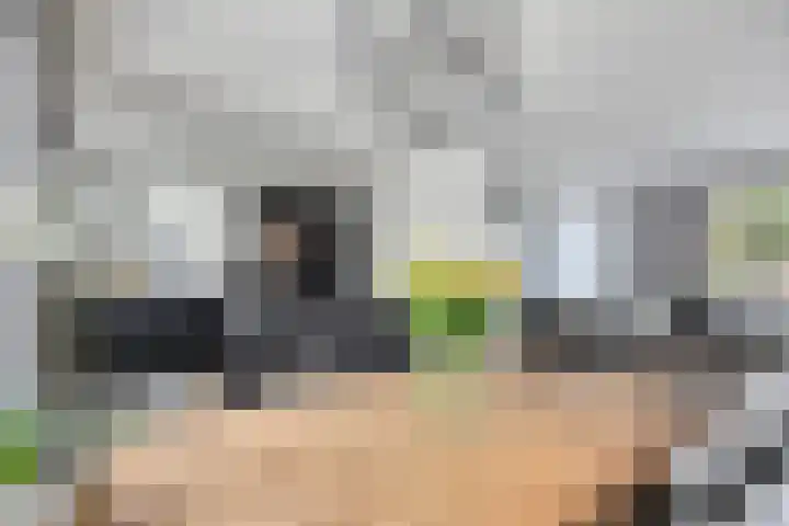 Leliestraat 9 Grubbenvorst thumbnail 14