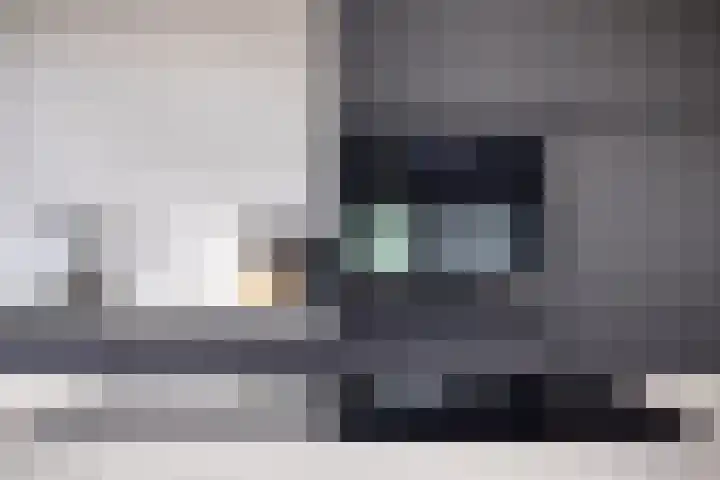 Leliestraat 9 Grubbenvorst thumbnail 20