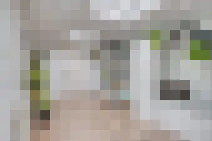 Leliestraat 9 Grubbenvorst thumbnail 22
